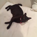 Toby Holland - @toby_holland5 - Instagram