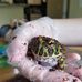 Toby Holmes - Facebook