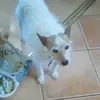 Toby Holmes - @tobyholmes79 - TikTok