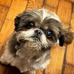 Toby Howells - @tobyhowells3 - Instagram