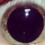 Toby Hynes - @y0uw0tm888 - Instagram