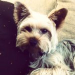 Toby Jacob - @toby103 - Instagram