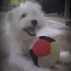 Toby - @toby_jacob - TikTok