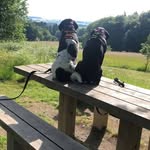 Toby&Jacob 🐾 - @tobyjacob1618 - Instagram