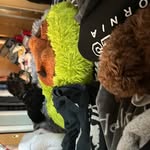 Toby Jacobsen - @tobyandsuger_jacobsen - Instagram