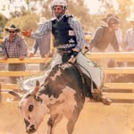 Toby Jacobsen 🐂 - @toby_jacobsen2 - Instagram