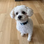Toby Valentine Jacobsen - @toby.j14 - Instagram