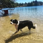Toby Charles Jensen - @ruffradtobs - Instagram