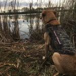 Toby Jensen - @nick.jenson.526 - Instagram