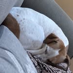Toby Jordan - @tjordan11109 - Instagram