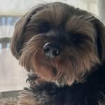 Toby Jordan - @tobyjordan53 - Instagram