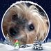 Toby Jordan - Facebook