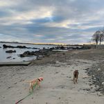 Toby Kitchener - @tjkitchener57 - Instagram