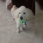 Toby Lopez - @toby.lopez.14811 - Instagram