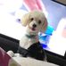 Toby Lopez - Facebook