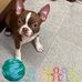 Toby Mahan - Facebook