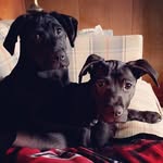 Toby Major - @major_tobs - Instagram