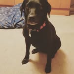 Toby Major - @tobymajor1979 - Instagram