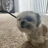 Toby - @tobymarks3 - TikTok