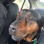 Toby Maxwell - Facebook