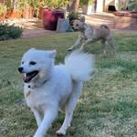 Toby_Maxwell - @tobyandmaxwell_adventures - Instagram