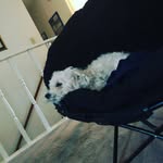 TOBY MAXWELL - @maxwell_toby - Instagram