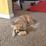 Toby Maxwell Procaccino - @toby_maxwell_procaccino - Instagram