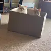 Toby & Meeko - @tobynmeeko - TikTok
