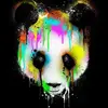 tobymitchell800 - @tobymitchell800 - TikTok