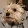 Toby Moreno gomez - @toby714 - TikTok