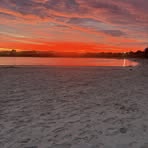 Toby Morrell Oam - Facebook