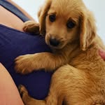 Toby - @toby_morse423 - Instagram