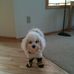 TOBY OLSON - Facebook