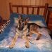 Toby Perkins - Facebook