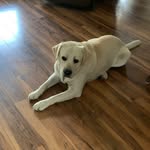 Toby - @_tobypeterson - Instagram