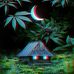 Toby Pittman - Facebook