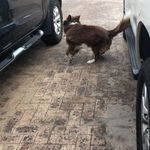 Toby_is_quick - @toby_is_quick - Instagram