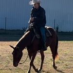 Toby Quick - @toby_quick4 - Instagram