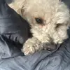 Follow back - @toby.richardson2013 - TikTok