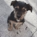Toby Robinson - @tobybaby01 - Instagram