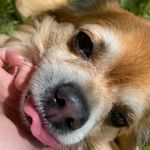 Toby - @toby_robinson__ - Instagram