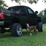 Toby Rodgers - @toby.rodgers.12 - Instagram