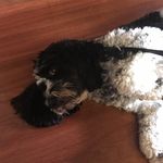 Toby Rodgers - @toby.rodgers3 - Instagram