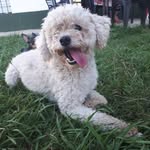 toby Romero - @toby.romero10 - Instagram