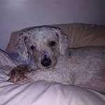 Toby Romero Brown - @tobyromerobrown - Instagram