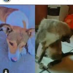 Toby. Romeu - @toby.romeu335 - Instagram