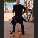 Toby Rose - @dogsrocking - Instagram