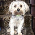 Toby Russo - @toby.russo - Instagram