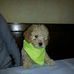 Toby Russo - Facebook