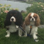 Toby Wexford and Mia Russo - @tobyandmimi - Instagram